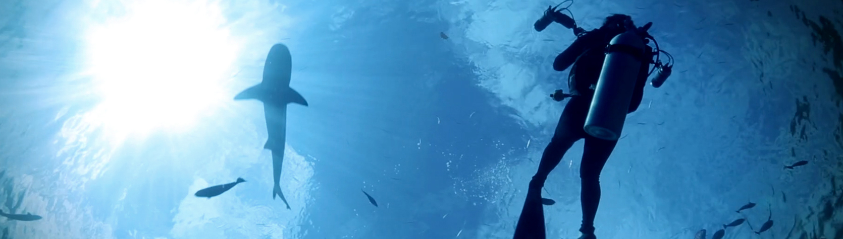 ¿Cuáles son los mejores relojes Rolex falsos?